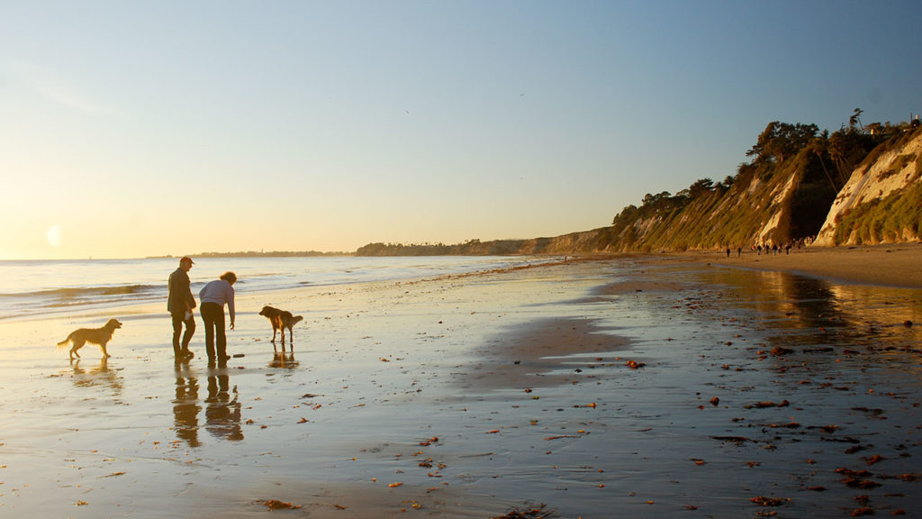Dogs playing at the beach in Santa Barbara, CA The Beach House Inn