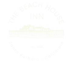 website logo.